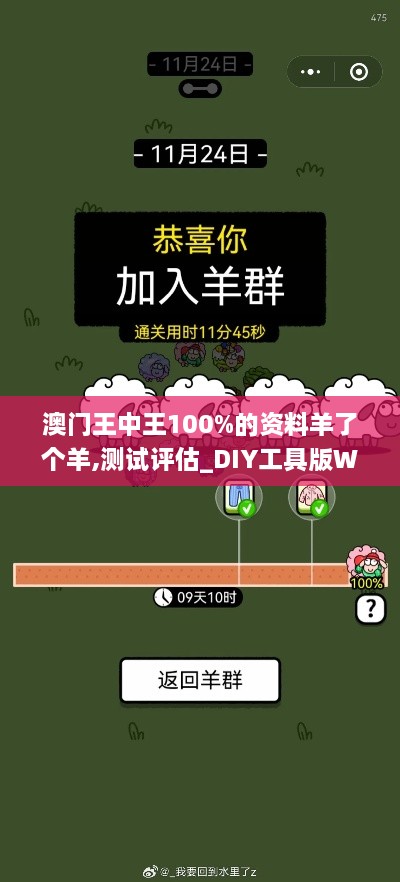 澳门王中王100%的资料羊了个羊,测试评估_DIY工具版WPX7.40