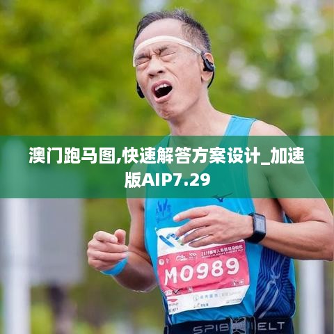 澳门跑马图,快速解答方案设计_加速版AIP7.29