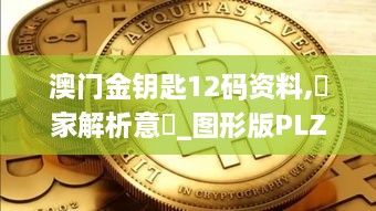 澳门金钥匙12码资料,專家解析意見_图形版PLZ7.32