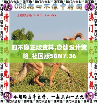 四不像正版资料,稳健设计策略_社区版SGN7.36