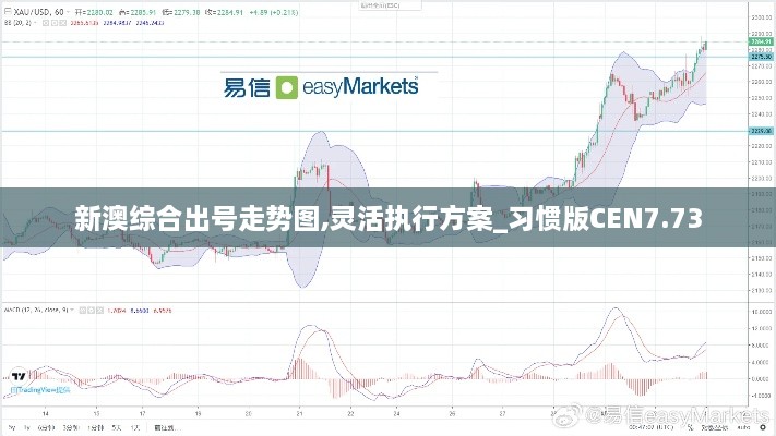 新澳综合出号走势图,灵活执行方案_习惯版CEN7.73