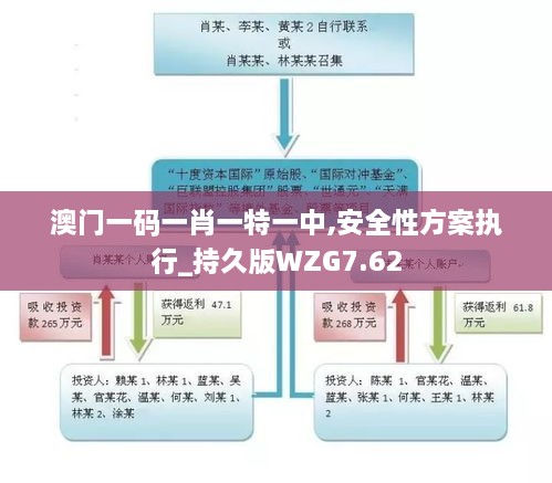 澳门一码一肖一特一中,安全性方案执行_持久版WZG7.62