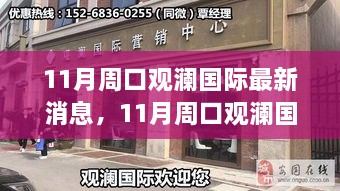 11月周口观澜国际最新消息与动态概览