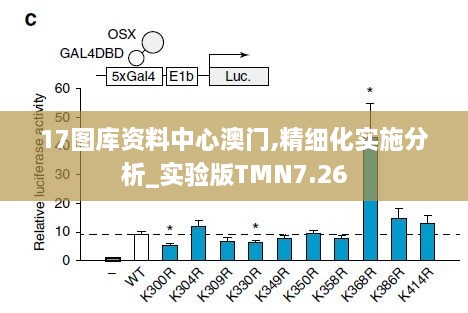 2024年11月 第77页