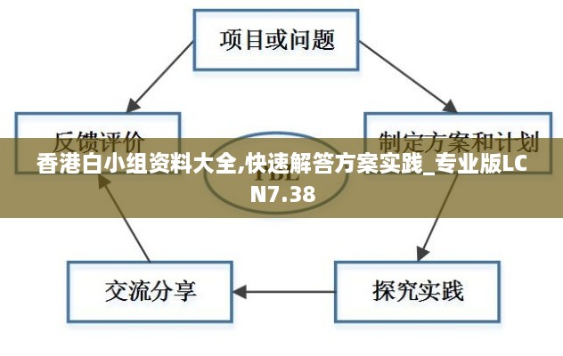 香港白小组资料大全,快速解答方案实践_专业版LCN7.38