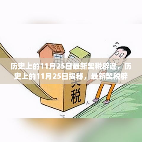 揭秘历史11月25日契税真相，辟谣揭秘，真相大揭秘！