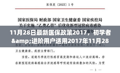 2017年11月28日最新医保政策详解，初学者与进阶用户实施步骤指南