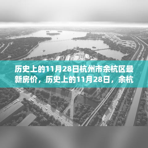 历史上的11月28日，余杭区房价变迁背后的励志篇章与最新房价概览