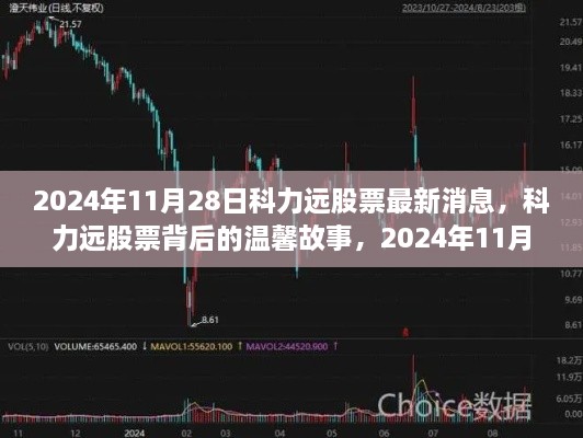 科力远股票最新动态，温馨故事背后的惊喜与陪伴