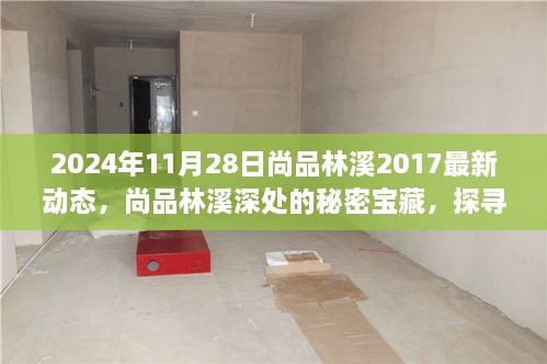 2024年11月28日尚品林溪2017最新动态，尚品林溪深处的秘密宝藏，探寻小巷中的特色小店最新动态