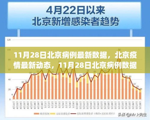 11月28日北京疫情最新动态及病例数据更新