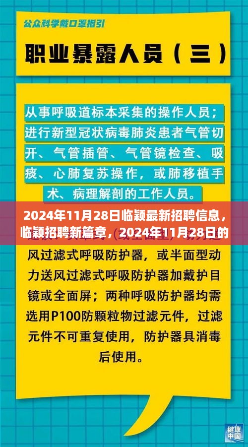 临颖最新招聘动态，探索职业机遇，临颖招聘新篇章（2024年11月28日）