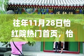 往年11月28日怡红院热门首页回顾，焦点概览与焦点事件回顾