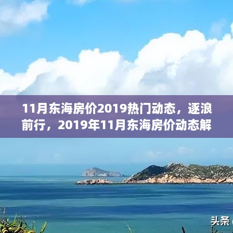 2019年11月东海房价动态解析，热门趋势与逐浪前行的市场