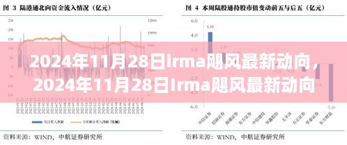 深度解析与前沿观察，2024年Irma飓风最新动向报告