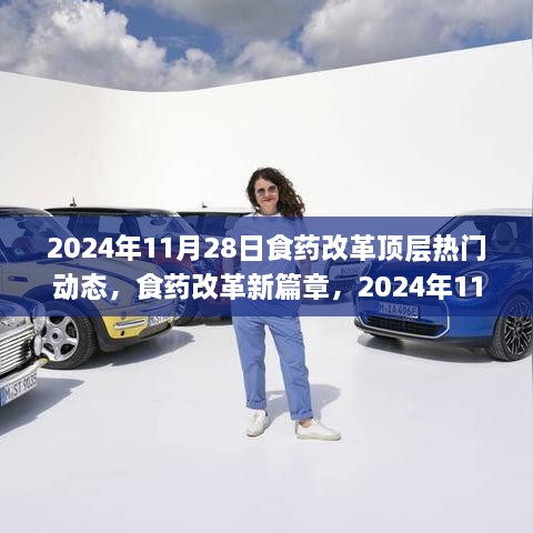 食药改革新篇章，2024年11月28日动态及自信成就之源