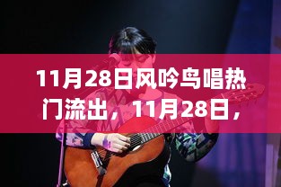 11月28日风吟鸟唱，音乐与自然的融合，引领热门潮流新风尚