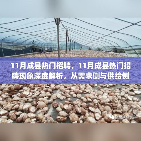 11月成县热门招聘现象深度解析，需求侧与供给侧视角下的就业市场新动向