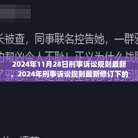 最新修订下的刑事诉讼规则与司法公正探讨（2024年）