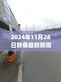 探秘新蔡小巷深处的隐藏瑰宝，特色小店惊喜之旅（2024年11月28日新蔡最新新闻）