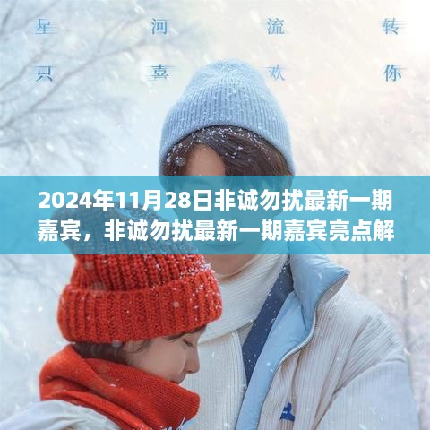 非诚勿扰最新一期嘉宾亮点解析，2024年11月28日嘉宾闪耀登场