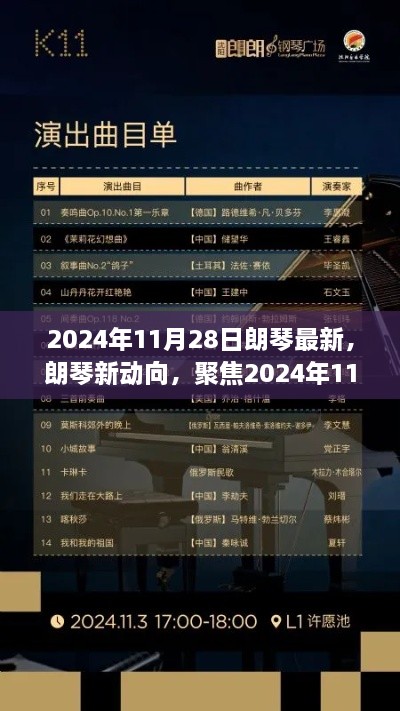 朗琴新动向深度解析与观点阐述，聚焦2024年11月28日