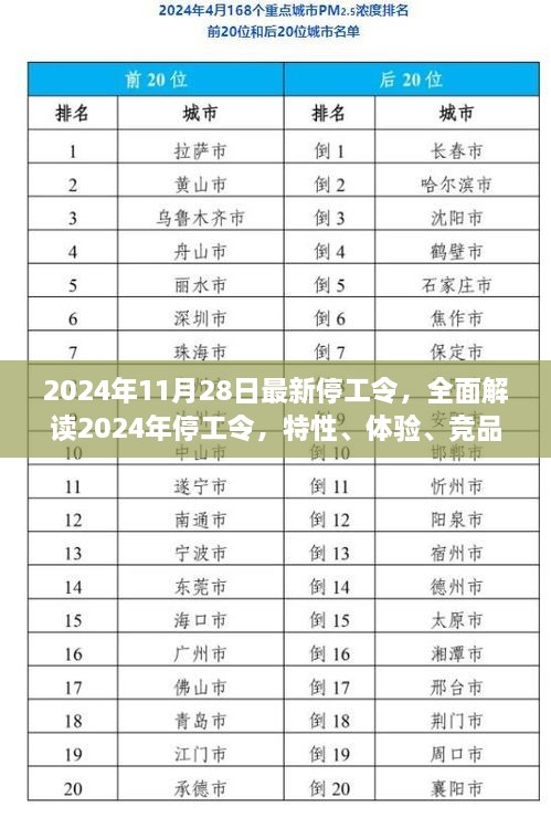 全面解读2024年停工令，特性、体验、竞品对比及用户群体深度分析