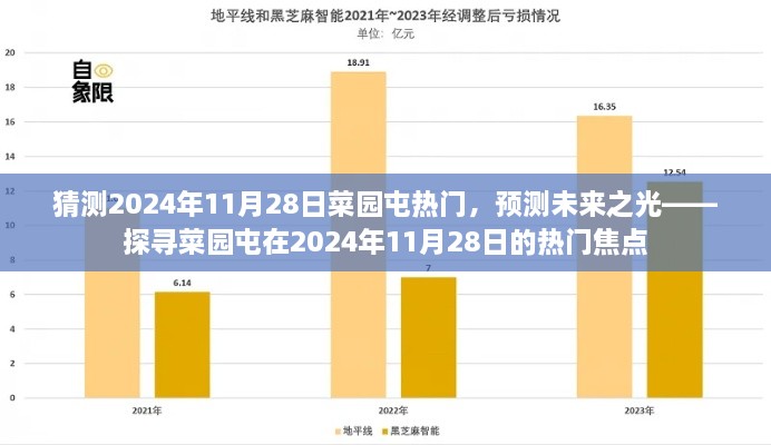 探寻菜园屯未来热门焦点，预测2024年11月28日的热门趋势展望