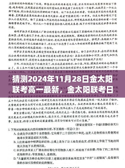 时光里的温馨记忆，金太阳联考高一最新预测及分析（2024年11月28日）