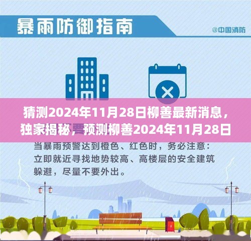 独家揭秘，预测柳善2024年11月28日的最新动态揭晓