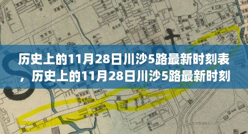 历史上的11月28日川沙5路最新时刻表详解与深度评测介绍