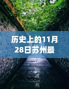 探秘苏州小巷深处的首付故事，特色小店的奇妙首付之旅（11月28日）