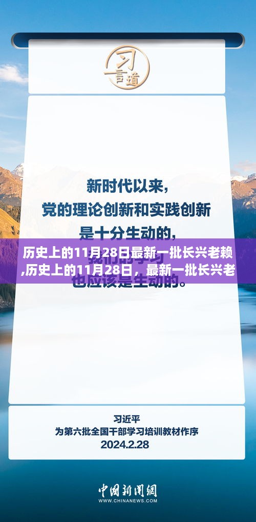 历史上的11月28日深度解析，最新一批长兴老赖名单详解