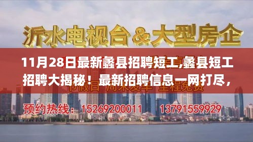 蠡县短工招聘最新信息揭秘，11月28日更新，一网打尽所有岗位！