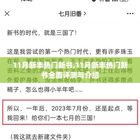 11月新丰热门新书全攻略，评测与介绍