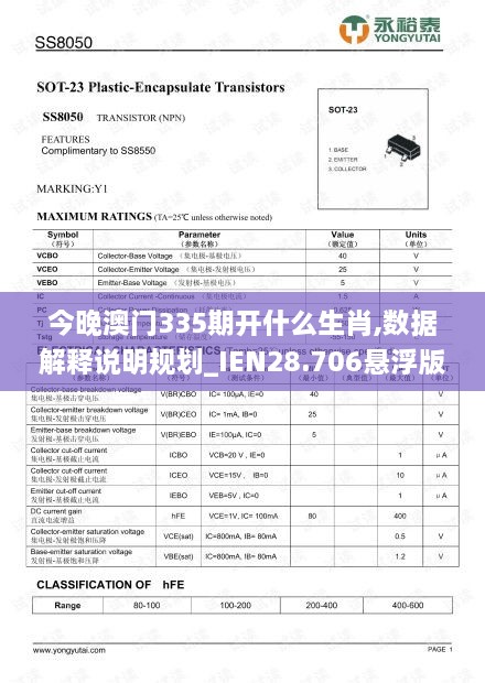 2024年12月1日 第17页