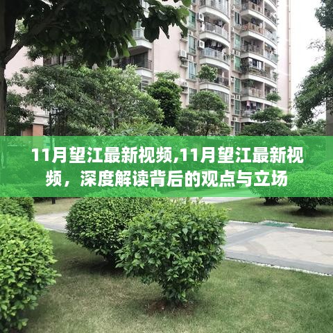 深度解读，望江最新视频揭示的观点与立场分析