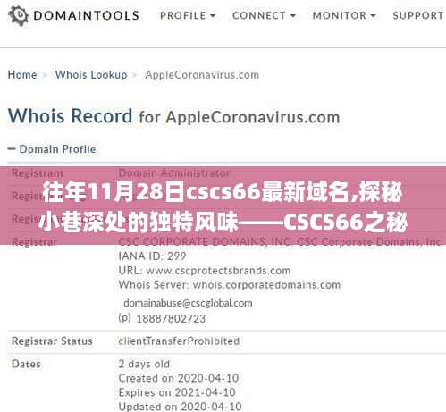 探秘CSCS66秘密小店，往年11月28日最新域名揭晓，小巷深处的独特风味之旅