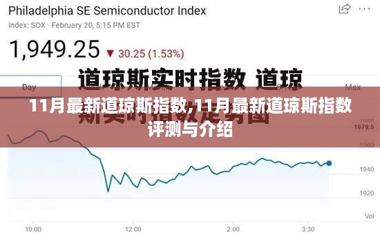 2024年12月 第1039页