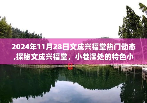 探秘文成兴福堂，小巷特色小店在2024年11月28日的独特风情展示日纪实