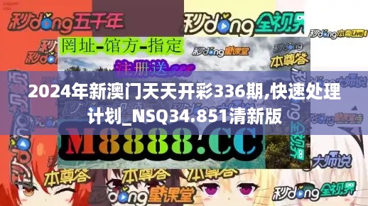 2024年新澳门天天开彩336期,快速处理计划_NSQ34.851清新版