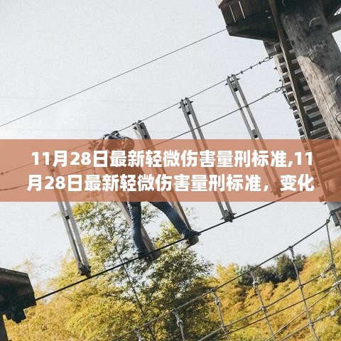 11月28日最新轻微伤害量刑标准，变化中的自信与励志之路洒满阳光