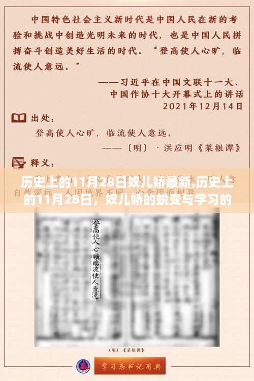 历史上的11月28日，奴儿娇的蜕变与学习力量——自信与成就感的源泉之路