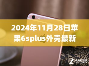 2024年12月2日 第24页