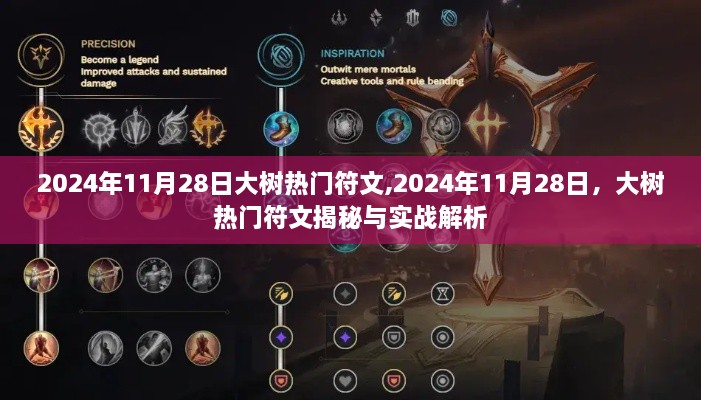 大树热门符文揭秘与实战解析（2024年11月28日版）