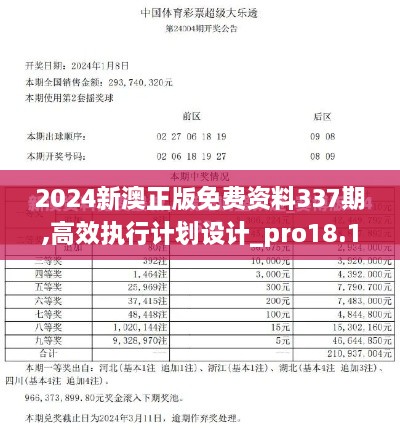 2024新澳正版免费资料337期,高效执行计划设计_pro18.141-2