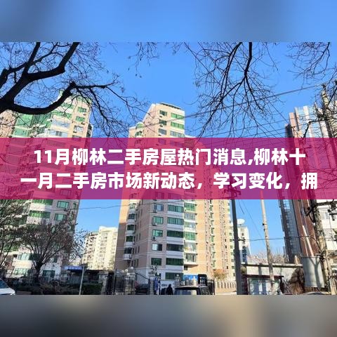 柳林十一月二手房市场动态，热门消息与新生活启程