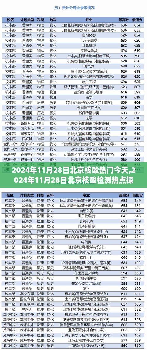 2024年11月28日北京核酸检测热点探讨，今日核酸热门话题解析