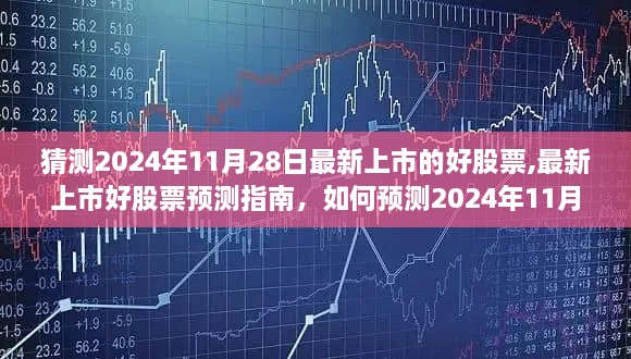 2024年12月2日 第11页