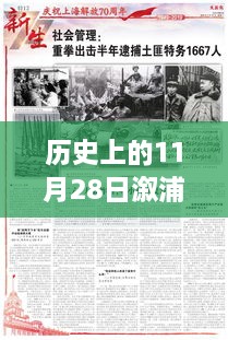 时光流转下的新闻风采，历史上的11月28日与今日溆浦新闻回顾小红书分享